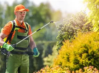 Garden Pest Control Service